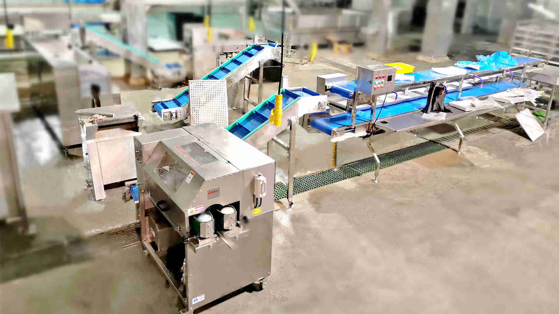 Fish Processing Machine